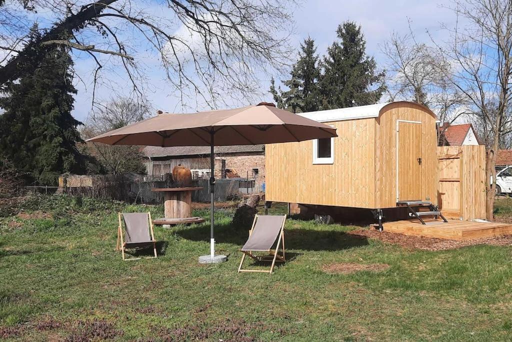 Zirkuswagen Glamping Fuer 2 Mit Veranda Kueche Netflix Parken Und Hofladen Steinhofel Ngoại thất bức ảnh